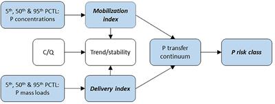 Phosphorus mobilization and delivery estimated from long-term high frequency water quality and discharge data